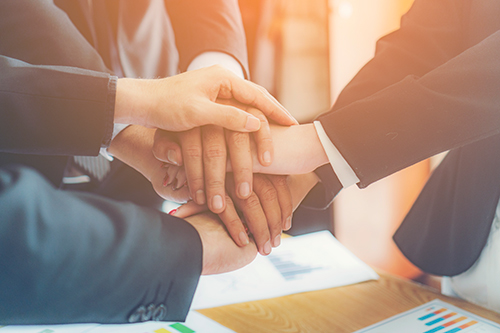 问鼎pg官网入口