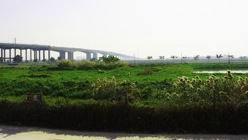 问鼎pg官网入口