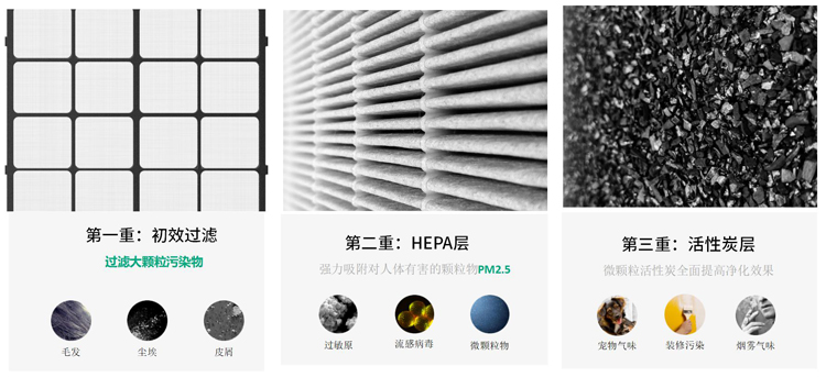 问鼎pg官网入口