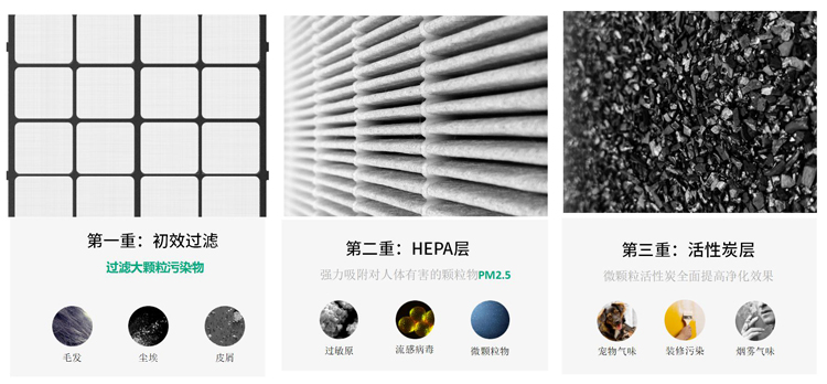 问鼎pg官网入口