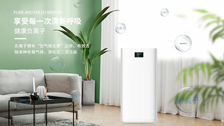 问鼎pg官网入口