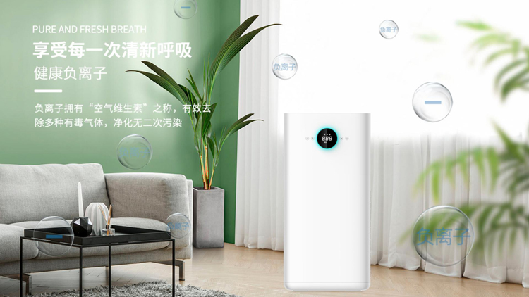 问鼎pg官网入口