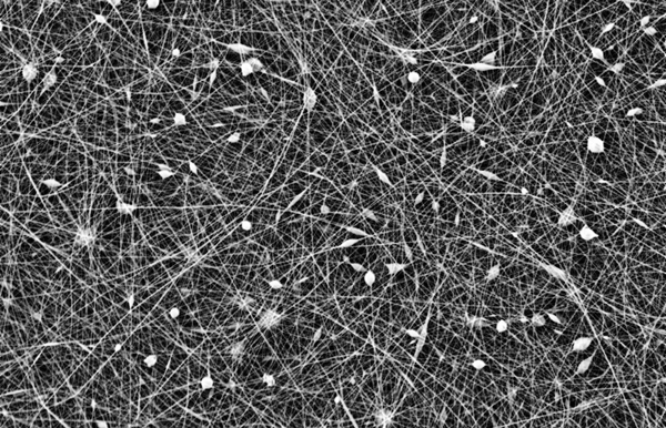 问鼎pg官网入口