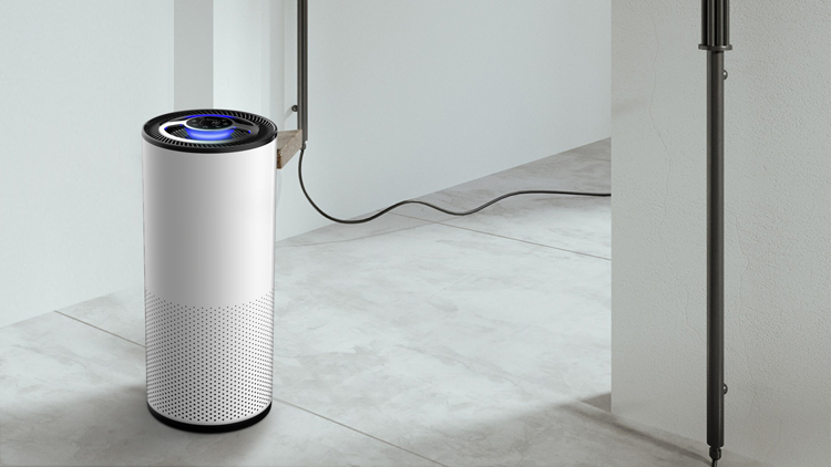 问鼎pg官网入口