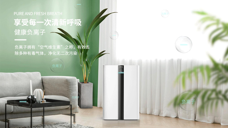 问鼎pg官网入口