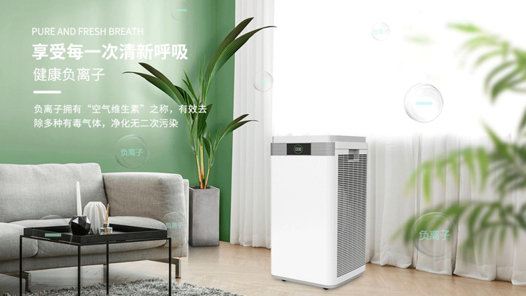 问鼎pg官网入口