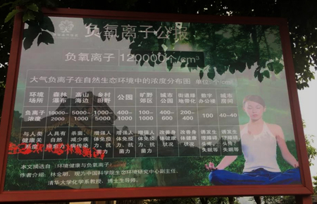 问鼎pg官网入口