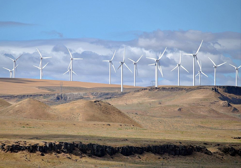 问鼎pg官网入口