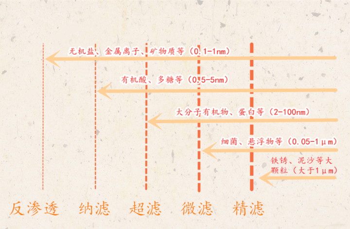 问鼎pg官网入口