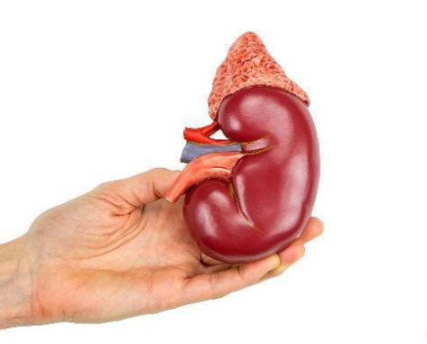 问鼎pg官网入口