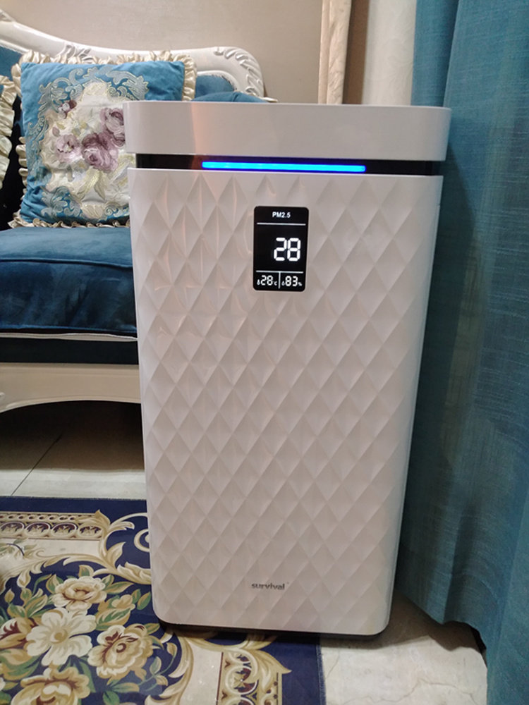 问鼎pg官网入口