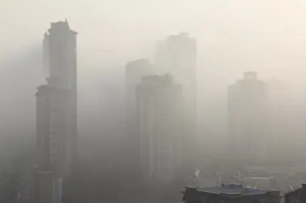 问鼎pg官网入口