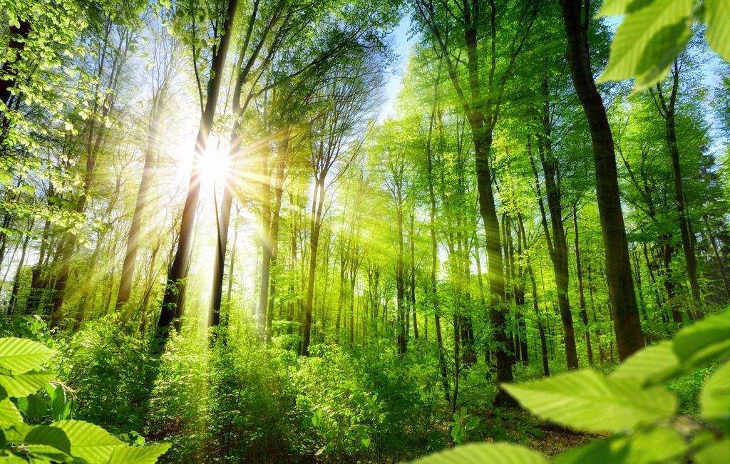 问鼎pg官网入口